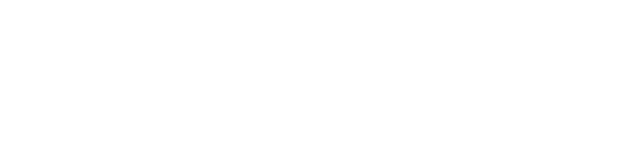 Foncière SALINI